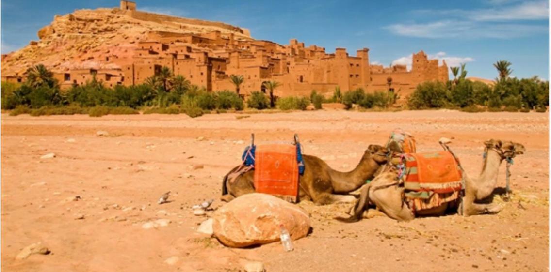 Chez Maya Marrakesz Zewnętrze zdjęcie